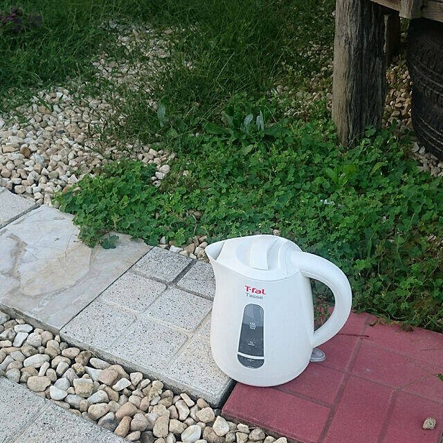 きつくて面倒な草むしりを楽にする！効果的な雑草対策のアイディア集