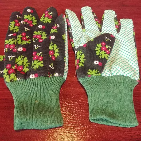 「きつくて面倒な草むしりを楽にする！効果的な雑草対策のアイディア集」の画像