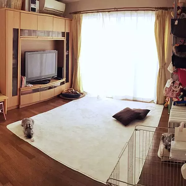 「広々ゆったり掃除も楽ちん♪ソファなしリビングで快適生活」の画像