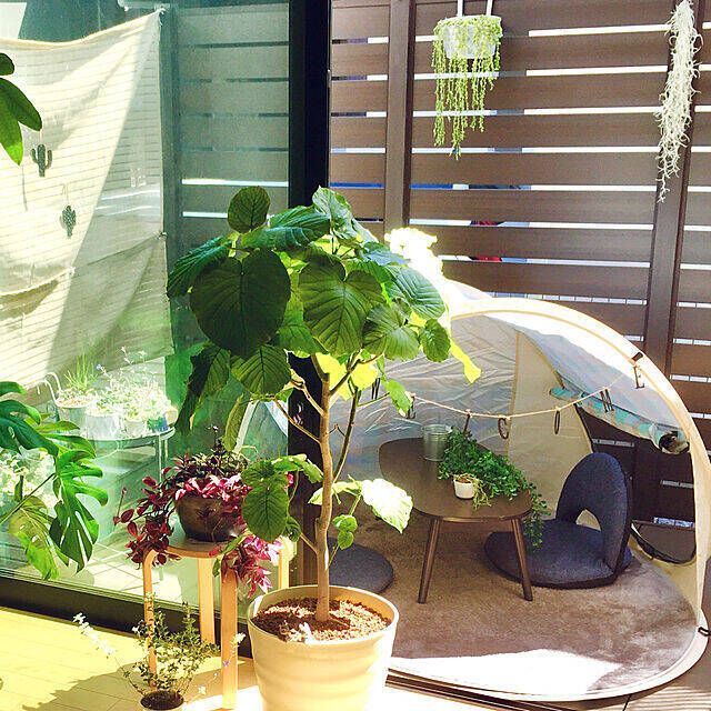 出かけなくてもアウトドア気分♪おうちキャンプの実例10選