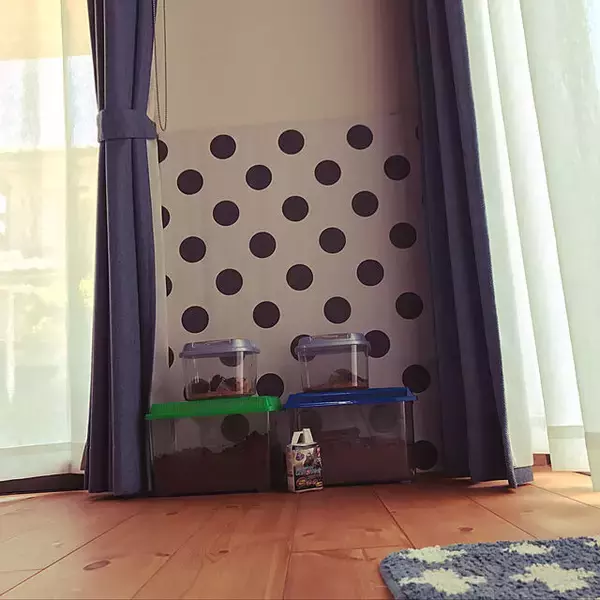 「カブトムシやクワガタの飼育に！オススメの飼育ケースと置き場所アイデア」の画像