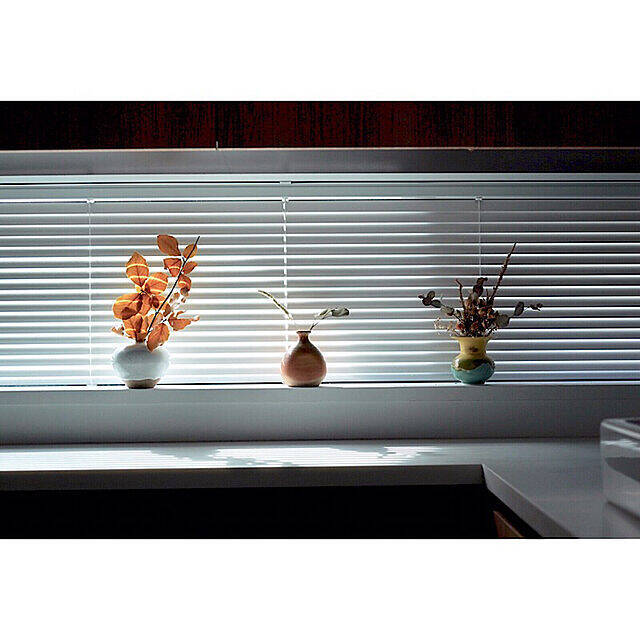 「鈴木麻起子」「竹村良訓」「石川隆児」器好きさんの器のある暮らし10選