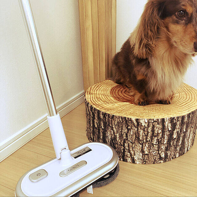 お掃除の新たな定番になるかも？便利グッズから意外なアイテム活用まで