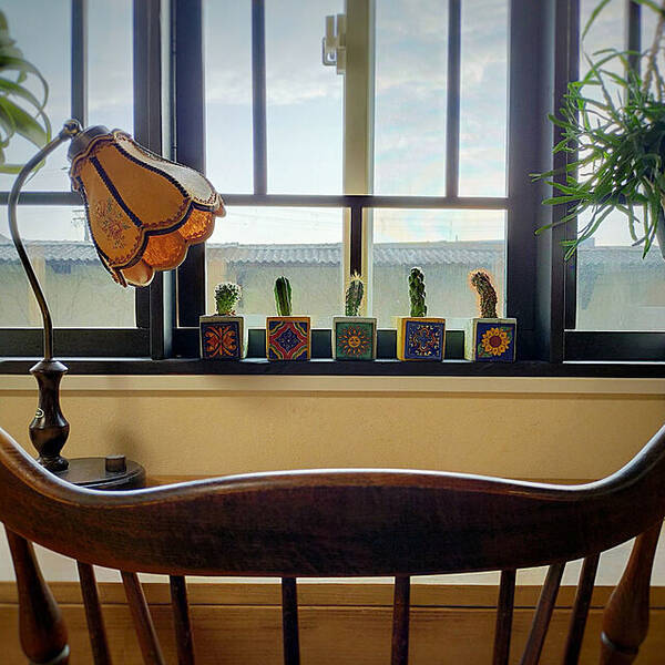 育てやすくて飾りやすい 小さな観葉植物の種類 飾り方アイデア10選 21年9月14日 エキサイトニュース 育てやすくて飾りやすい 小さな観葉植物の種類 飾り方アイデア10選 21年9月14日 エキサイトニュース