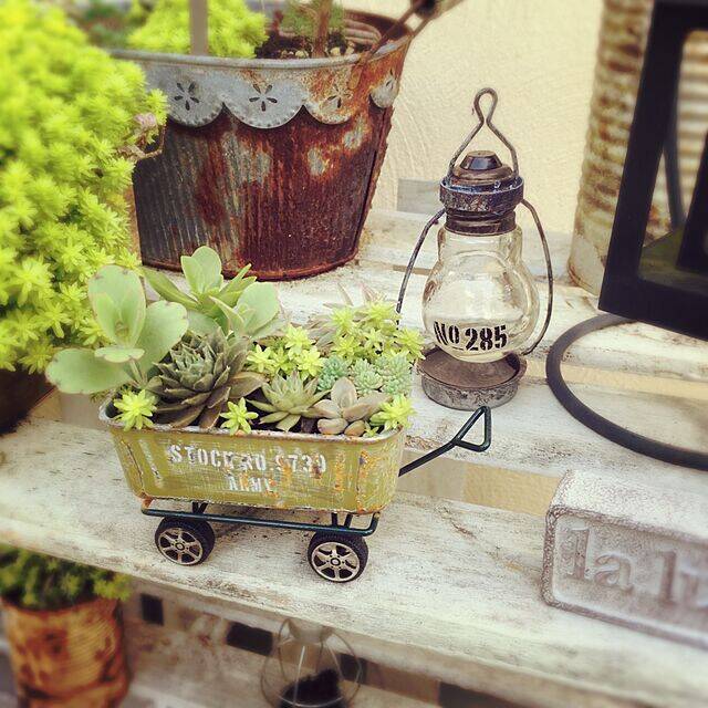 小ささに胸キュン♡セリアのミニチュアアイテムで作るディスプレイ集