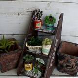 「小ささに胸キュン♡セリアのミニチュアアイテムで作るディスプレイ集」の画像7