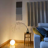 「はっとするようなアクセントに！お部屋に取り入れたい枝ものディスプレイ」の画像1