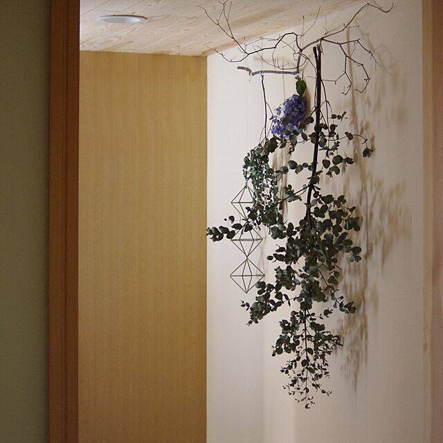 はっとするようなアクセントに！お部屋に取り入れたい枝ものディスプレイ