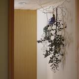 「はっとするようなアクセントに！お部屋に取り入れたい枝ものディスプレイ」の画像9