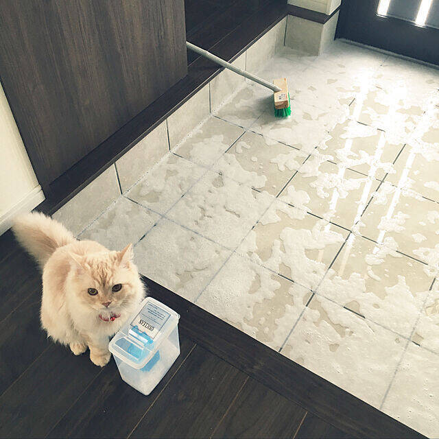 いつもきれいにしておきたい！玄関の掃除術&おすすめクリーナー