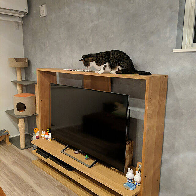 収納力バツグンでデザインも豊富♪ニトリでおすすめのテレビ台 