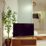 「葉も幹も驚くほどリアル！ニトリの大きなフェイクグリーン」の画像2