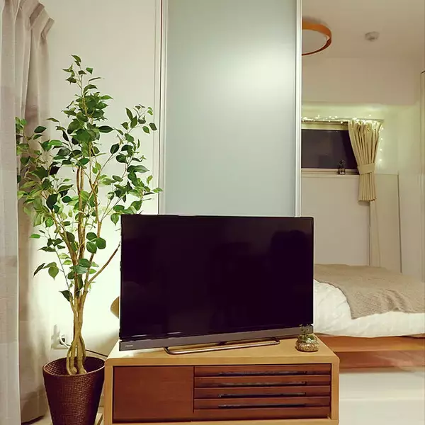 「葉も幹も驚くほどリアル！ニトリの大きなフェイクグリーン」の画像