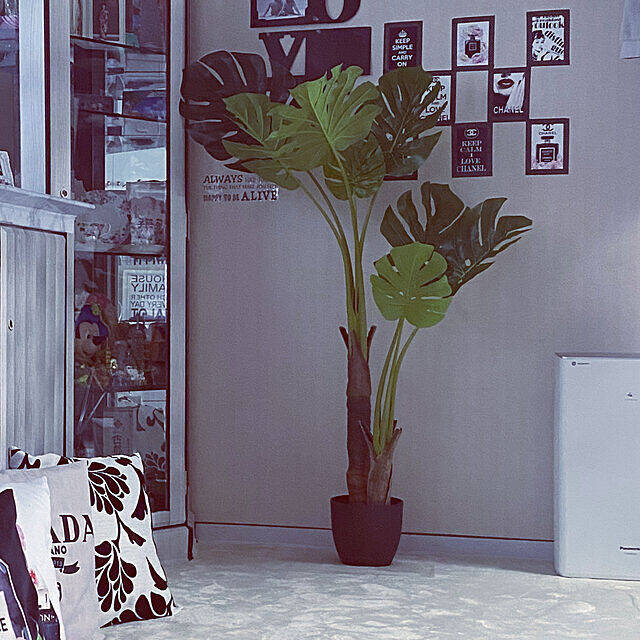 葉も幹も驚くほどリアル！ニトリの大きなフェイクグリーン