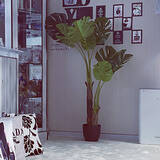 「葉も幹も驚くほどリアル！ニトリの大きなフェイクグリーン」の画像10