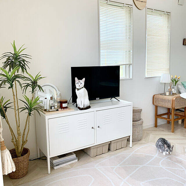 葉も幹も驚くほどリアル！ニトリの大きなフェイクグリーン