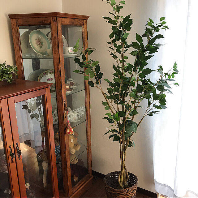 葉も幹も驚くほどリアル！ニトリの大きなフェイクグリーン