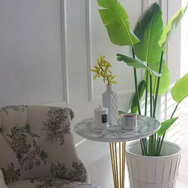 「葉も幹も驚くほどリアル！ニトリの大きなフェイクグリーン」の画像