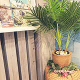 「葉も幹も驚くほどリアル！ニトリの大きなフェイクグリーン」の画像8