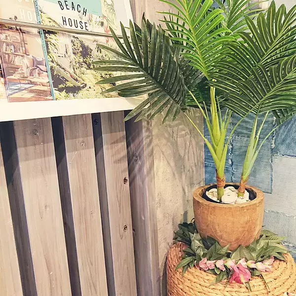 「葉も幹も驚くほどリアル！ニトリの大きなフェイクグリーン」の画像