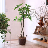 「葉も幹も驚くほどリアル！ニトリの大きなフェイクグリーン」の画像6