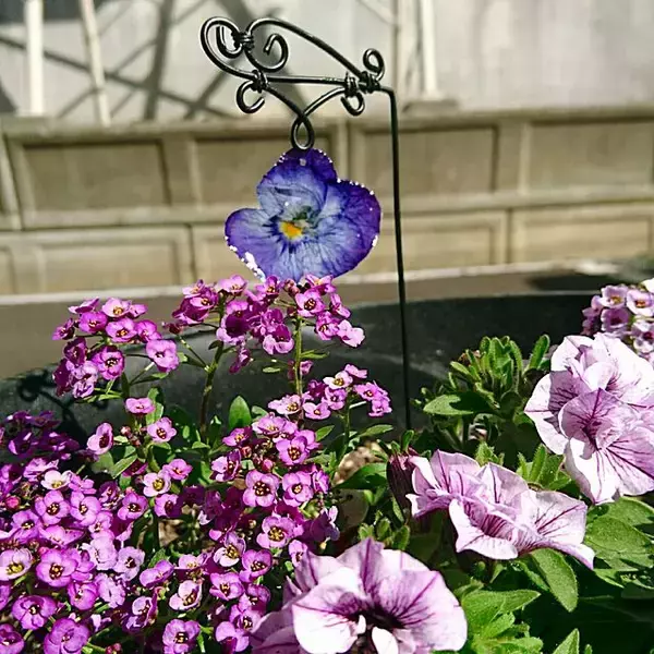 「挑戦してみたくなる！レジンで作る透明感あふれるインテリア小物」の画像