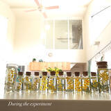 「挑戦してみたくなる！レジンで作る透明感あふれるインテリア小物」の画像6