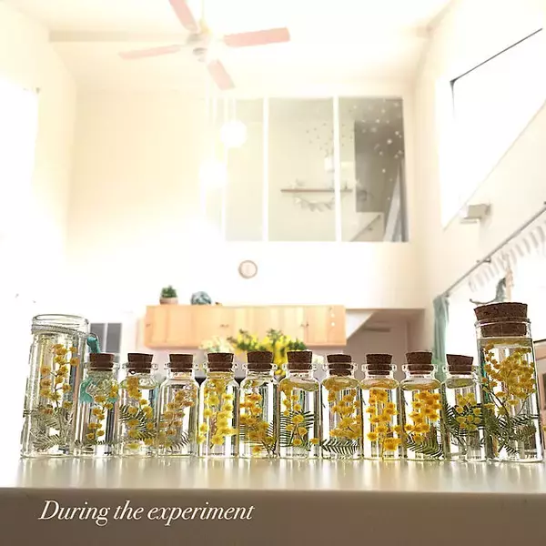 「挑戦してみたくなる！レジンで作る透明感あふれるインテリア小物」の画像