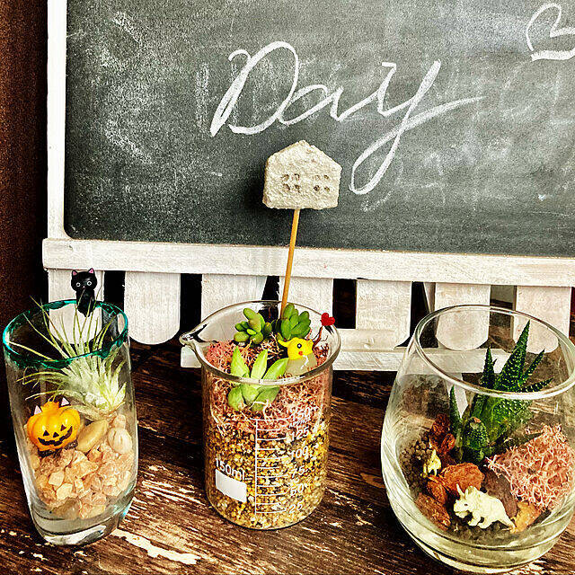 飾って楽しむ癒しのインテリア☆ダイソーアイテムで作る多肉植物のある空間