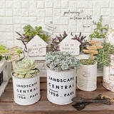 「飾って楽しむ癒しのインテリア☆ダイソーアイテムで作る多肉植物のある空間」の画像3