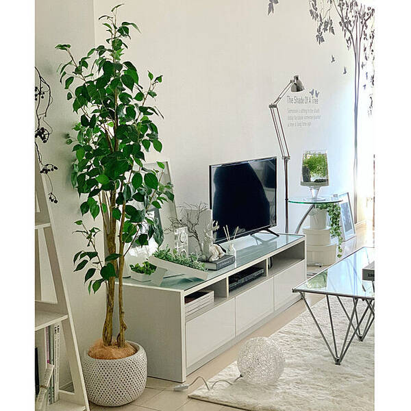 お部屋を鮮やかに彩る ニトリでおすすめの造花とインテリアグリーン 21年10月25日 エキサイトニュース お部屋を鮮やかに彩る ニトリでおすすめの造花とインテリアグリーン 21年10月25日 エキサイトニュース