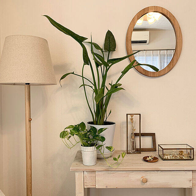 インテリアを明るく印象的に変えてくれる☆壁掛けミラーのあるお部屋