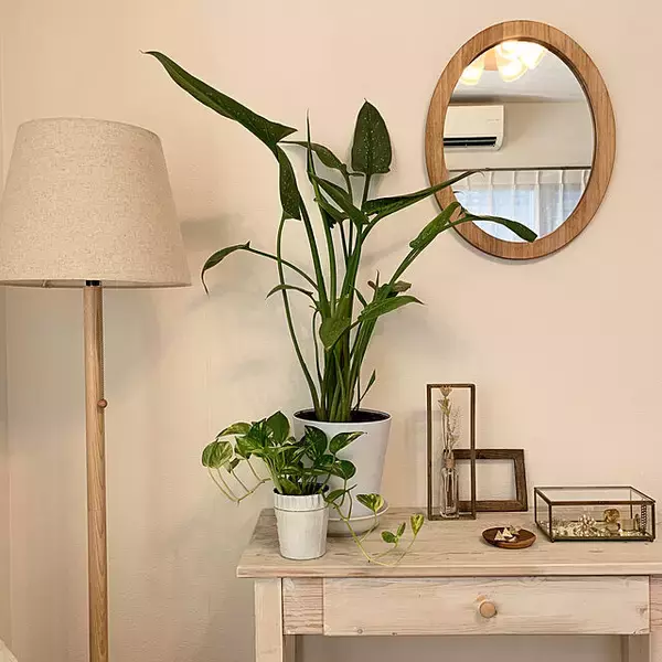 「インテリアを明るく印象的に変えてくれる☆壁掛けミラーのあるお部屋」の画像