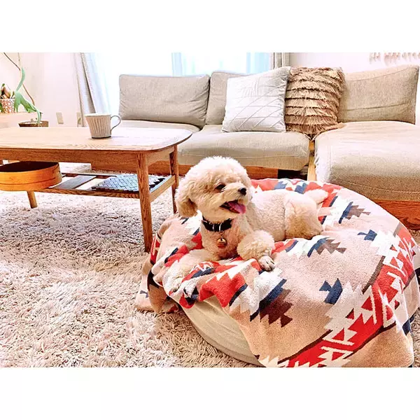 「鮮やかなネイティブ柄をインテリアに☆ペンドルトンのある魅力的なお部屋」の画像