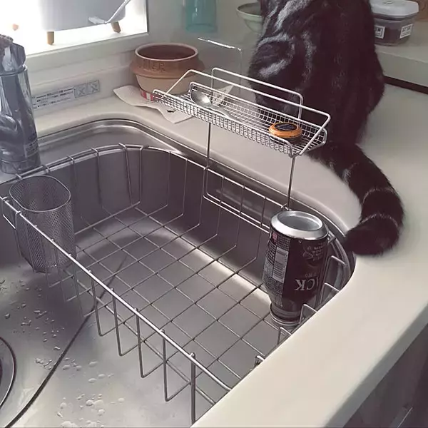 「しっかり乾かして衛生的に！便利で使い勝手のよい水切りかごをご紹介」の画像