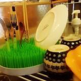 「しっかり乾かして衛生的に！便利で使い勝手のよい水切りかごをご紹介」の画像2