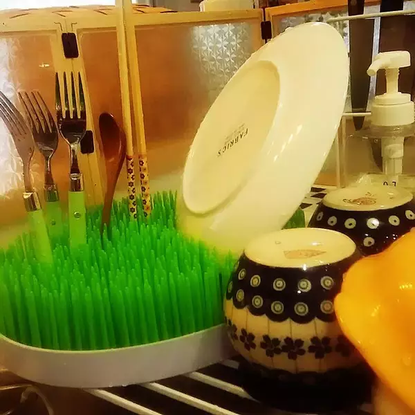 「しっかり乾かして衛生的に！便利で使い勝手のよい水切りかごをご紹介」の画像