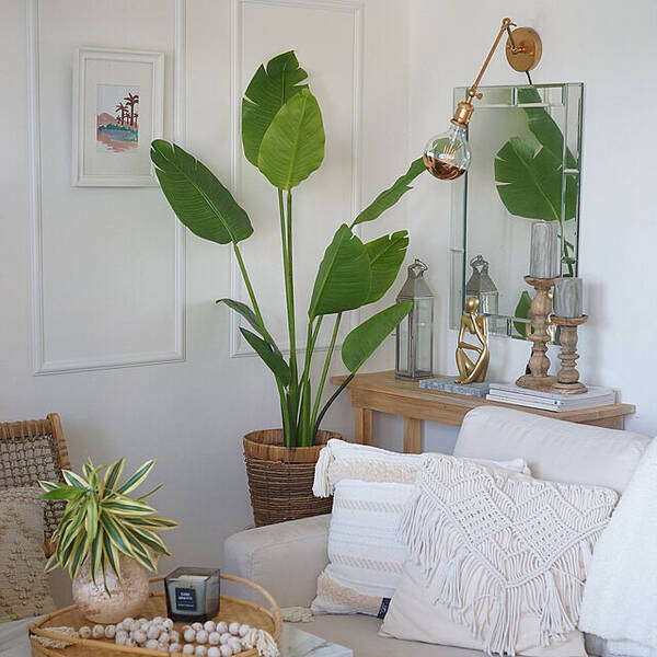 お部屋にさわやかさをプラス ニトリのフェイクグリーンに注目 21年10月10日 エキサイトニュース