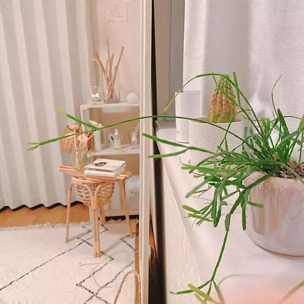 「「16.5m2。狭さ忘れるリラックス感で包み込む、ゆったりナチュラルなお部屋」 by smallroomさん」の画像