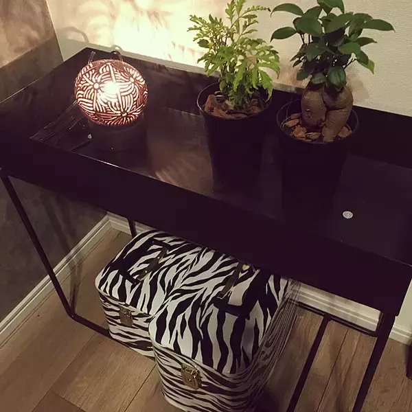 「動物モチーフやアニマル柄が好きな方へ贈る☆お部屋のコーディネート集」の画像