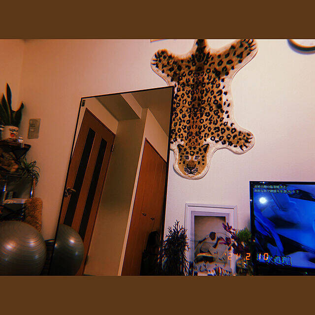 動物モチーフやアニマル柄が好きな方へ贈る☆お部屋のコーディネート集