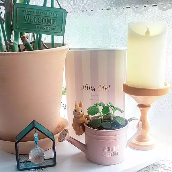 「動物モチーフやアニマル柄が好きな方へ贈る☆お部屋のコーディネート集」の画像