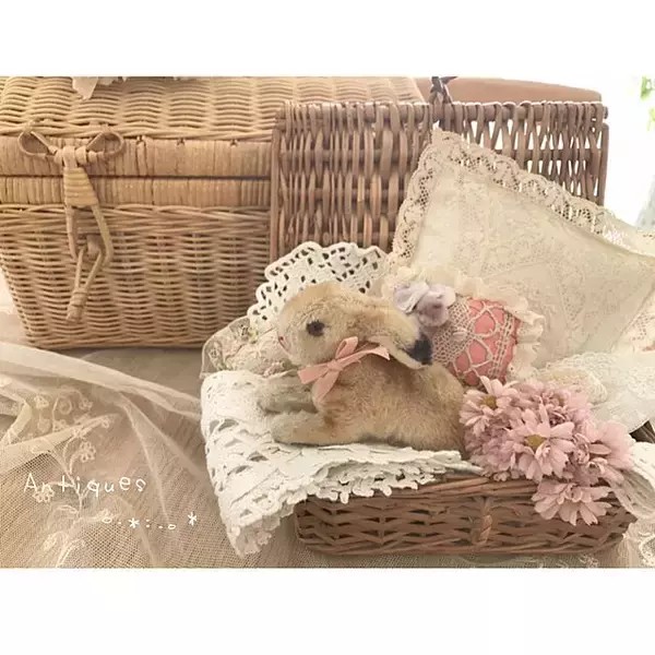 「いつでも見ていたいから☆シュタイフのぬいぐるみを私らしくディスプレイ」の画像