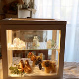 「いつでも見ていたいから☆シュタイフのぬいぐるみを私らしくディスプレイ」の画像5