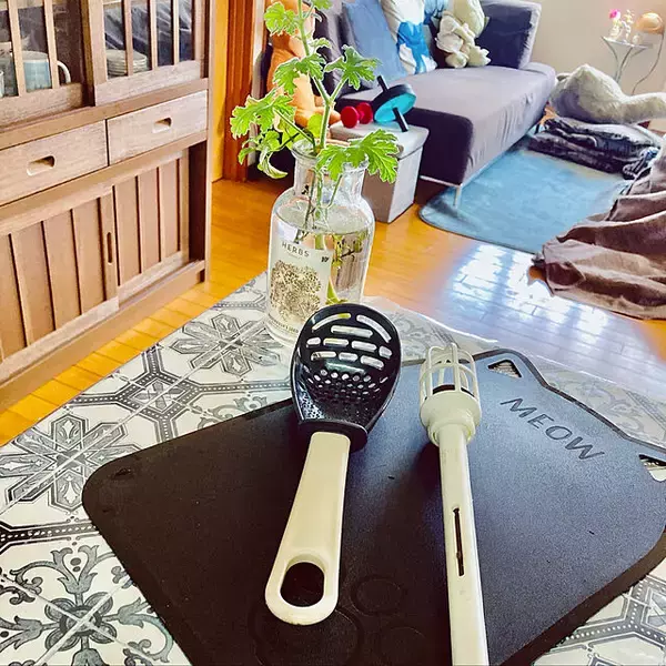 「プチプラで手に入る快適生活♪ダイソーで見つけた便利なキッチングッズ」の画像