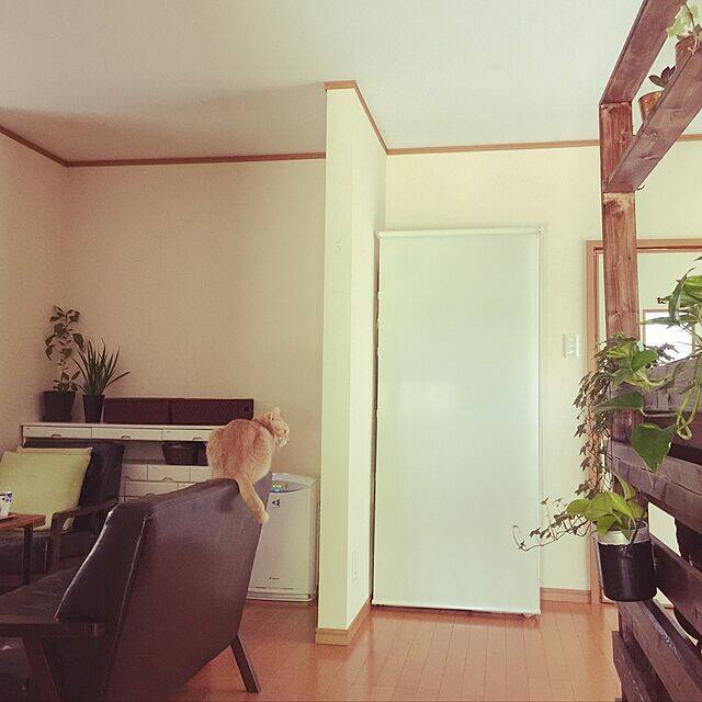 お部屋がすっきりとした印象に☆ロールスクリーンを使った目隠し収納