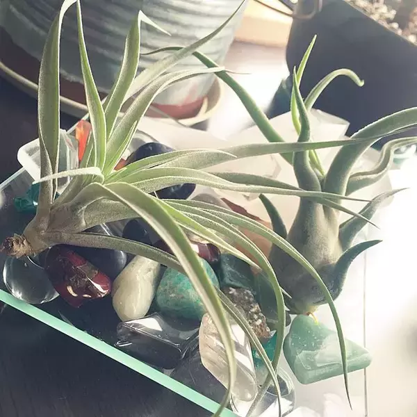 「美しさも面白さも楽しめる！鉱物があるお部屋の実例10選」の画像