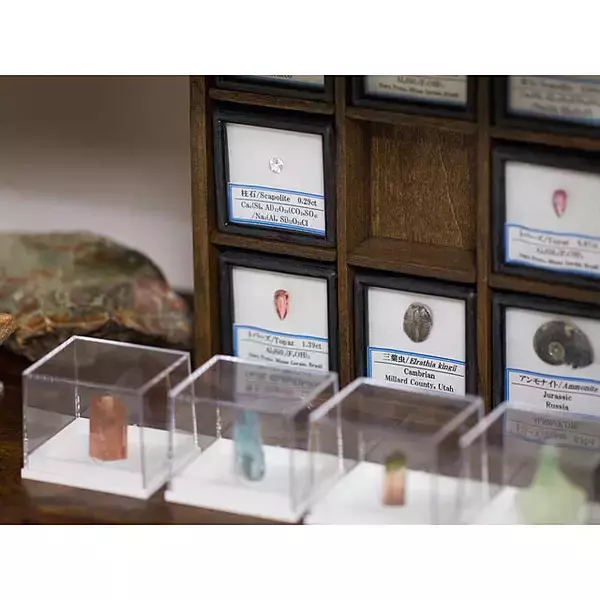 「美しさも面白さも楽しめる！鉱物があるお部屋の実例10選」の画像