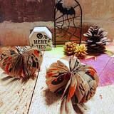 「セリアのクッキングシートを使いたい！お気に入りの柄を楽しむアイデア集」の画像9