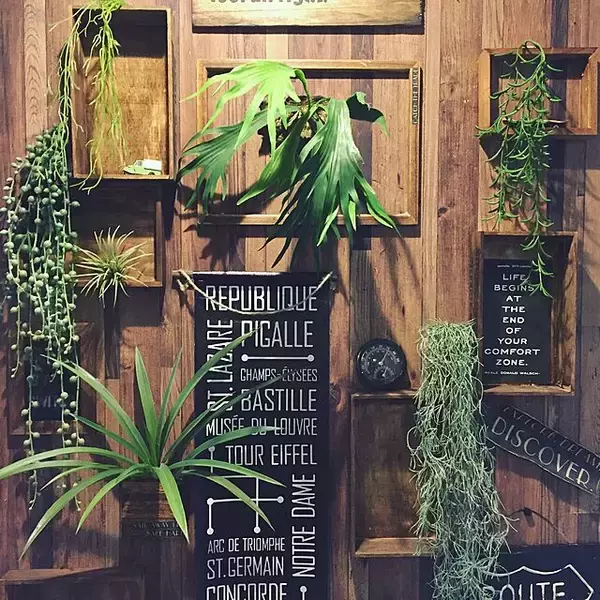 「プチプラで大変身♡100均アイテムを使った壁面ディスプレイの実例10選」の画像